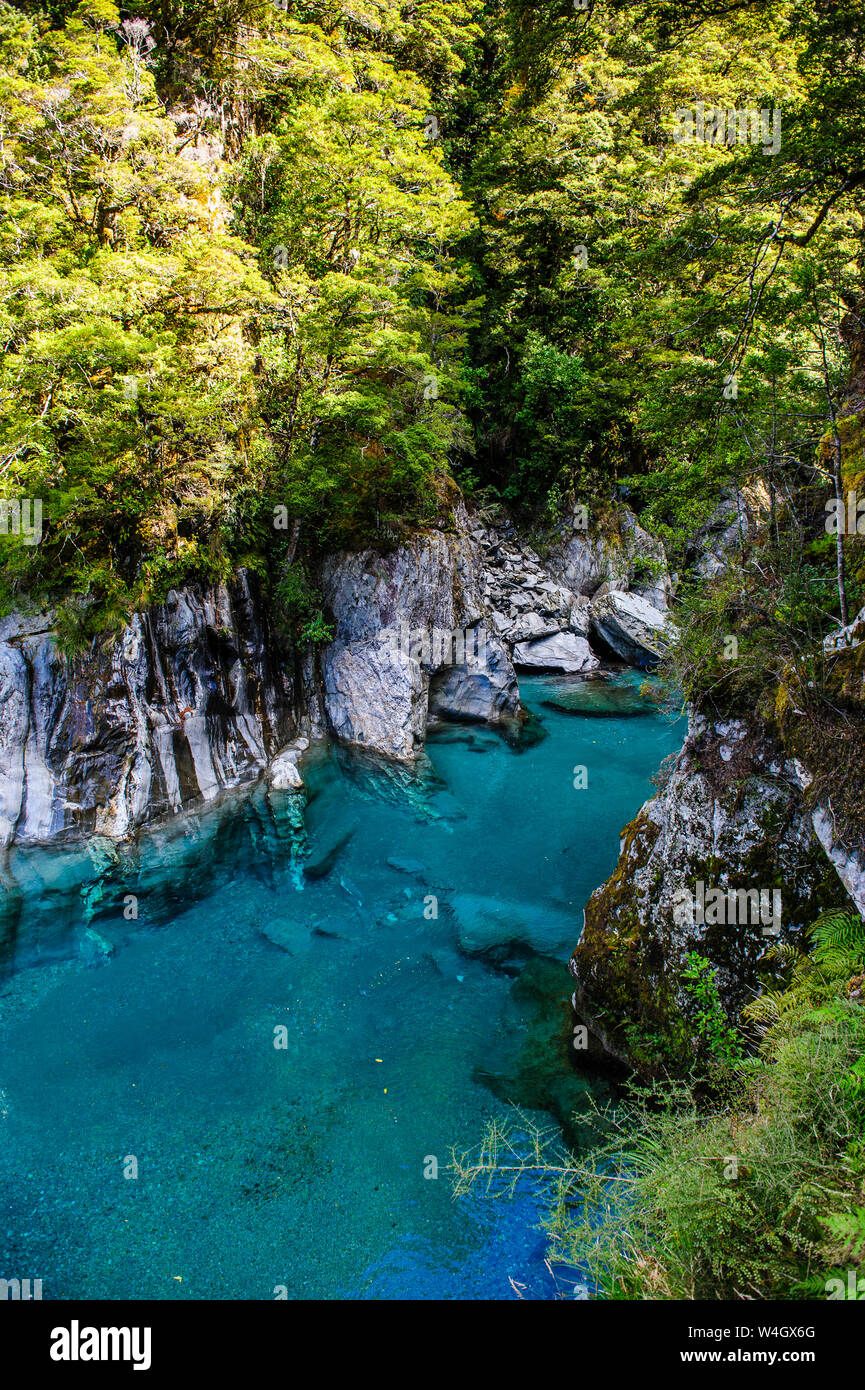 Die beeindruckenden blauen Pools, Haast Pass, Südinsel, Neuseeland Stockfoto