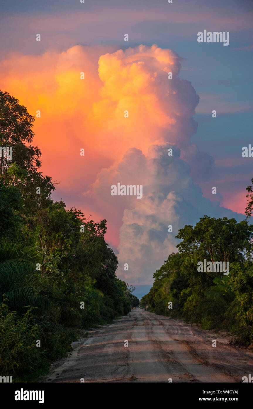 Schöne beleuchtete Wolke über einen Feldweg, Pantanal, Brasilien Stockfoto