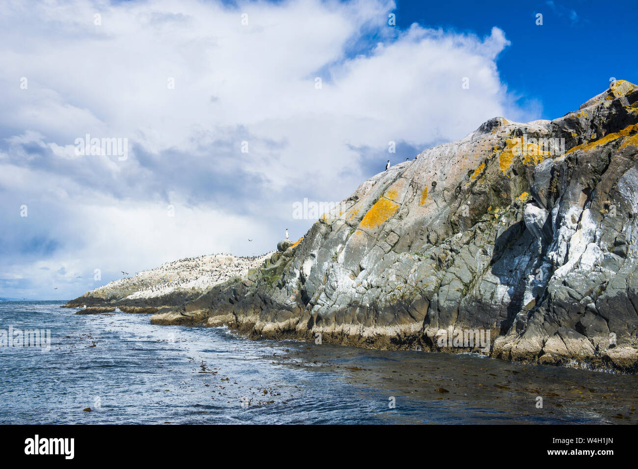 Insel in den Beagle-Kanal, Ushuaia, Feuerland, Argentinien, Südamerika Stockfoto