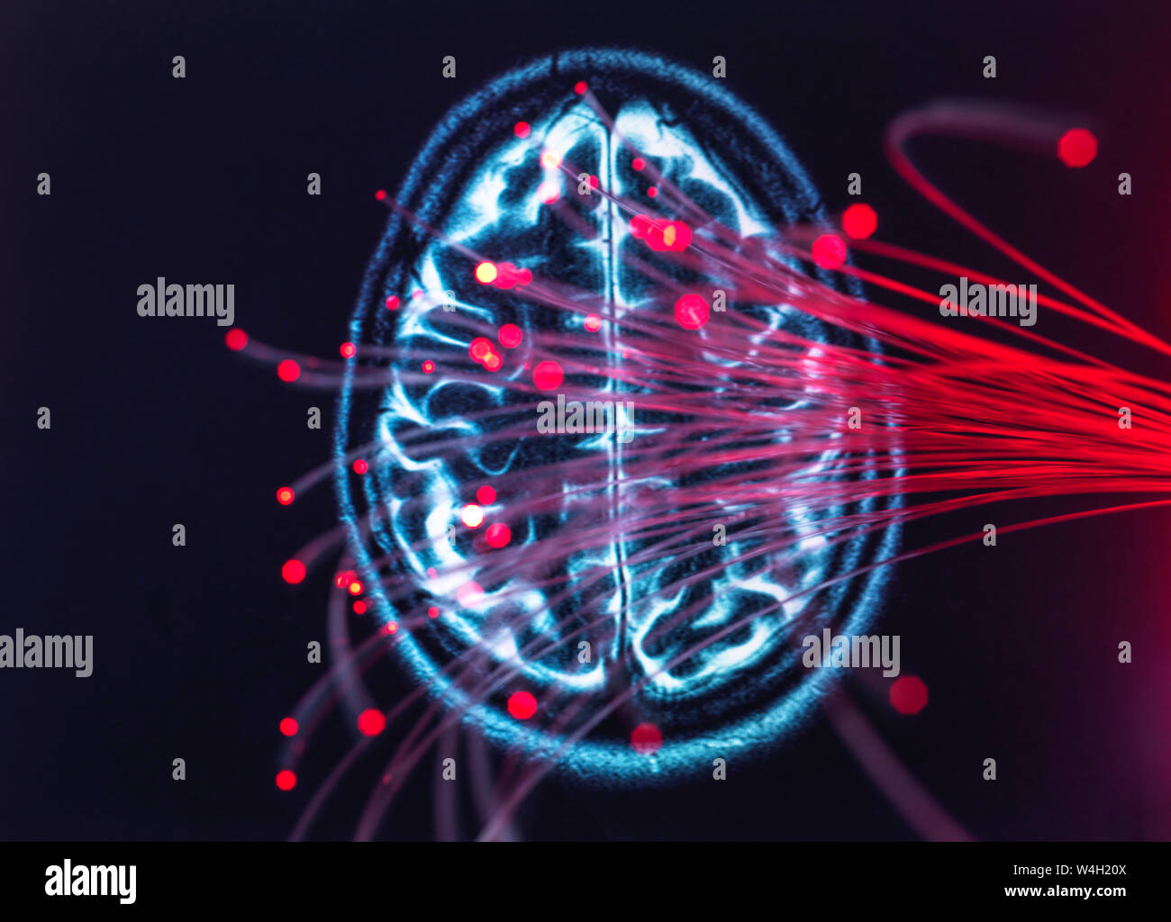 Neurowissenschaften, Fiber Optics, die Daten um das Gehirn Stockfoto