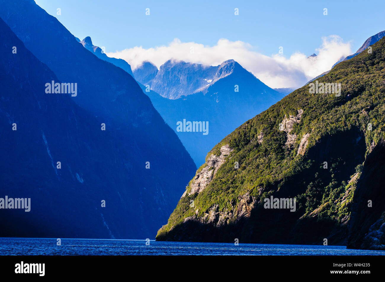 Am frühen Morgen Licht im Milford Sound, Südinsel, Neuseeland Stockfoto