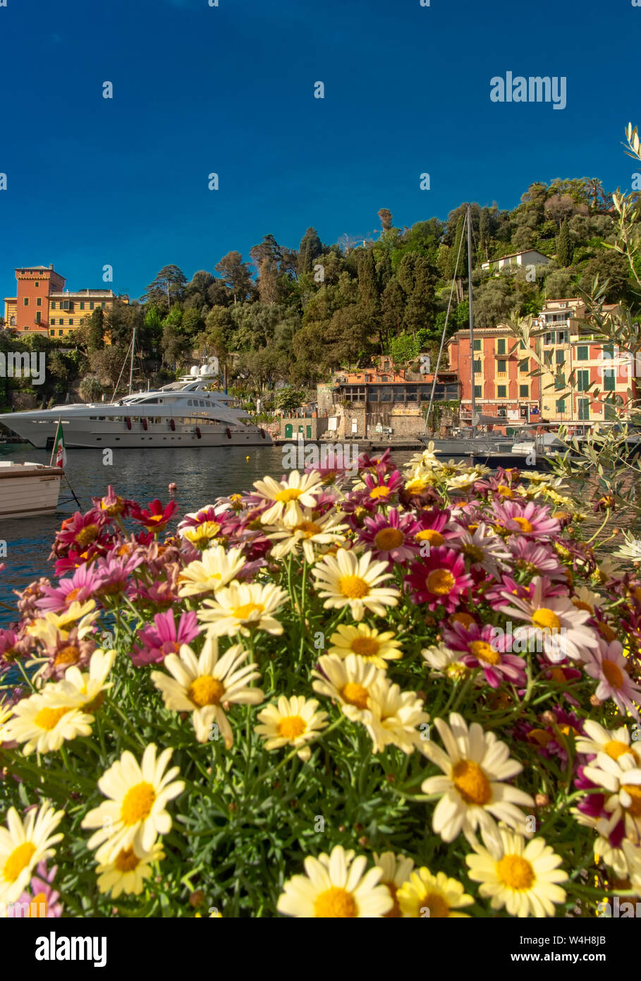 Töpfe mit bunten Sommerblumen in Portofino, Ligurien Italien in der Nähe zu sehen, mit luxuriösen Yachten vor Anker im Hafen und Uferpromenade hinter Stockfoto