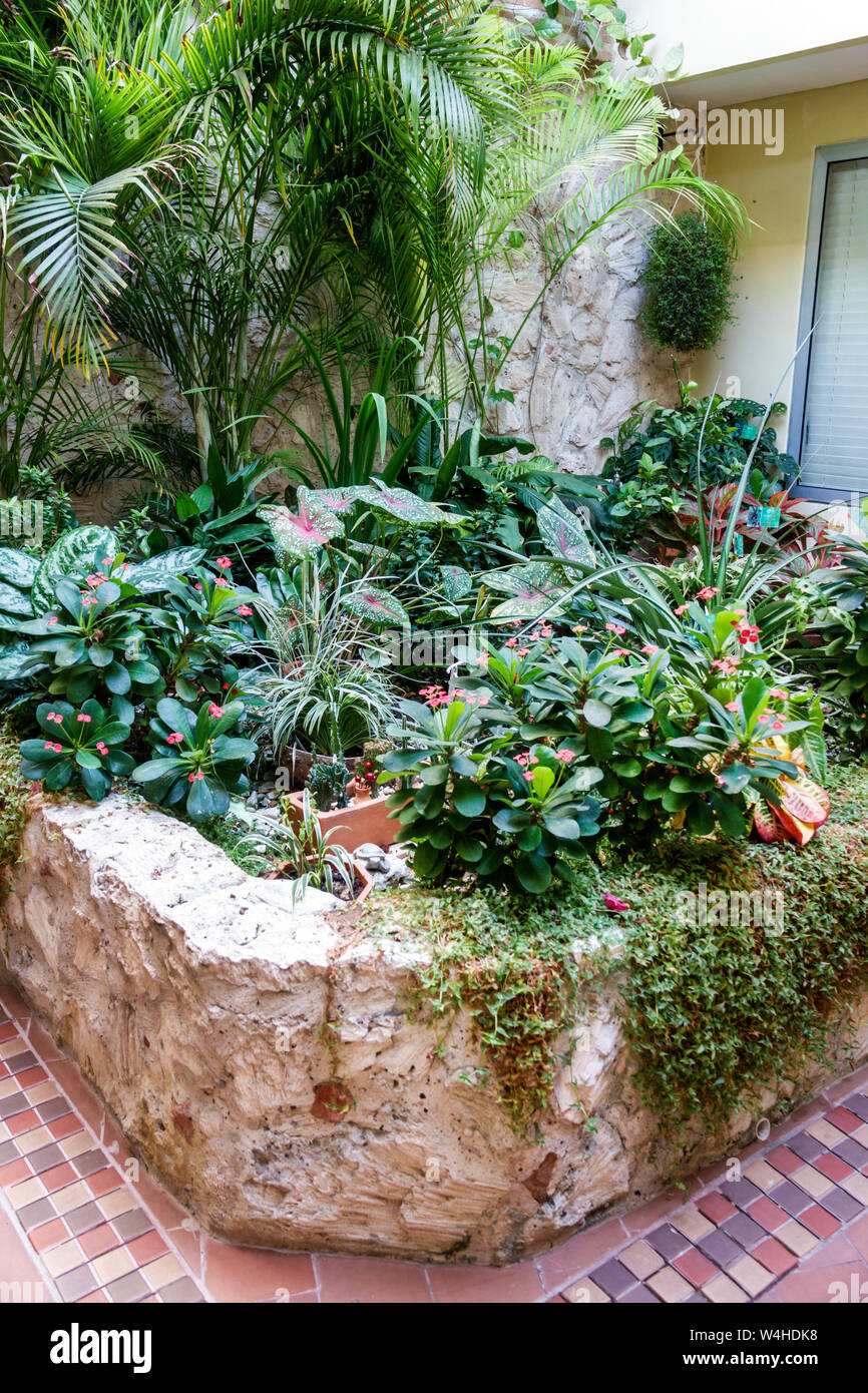 Kolumbien Cartagena Altummauerte Stadtzentrum Getsemani Posada La Fe Boutique Hotel Innenterrasse Garten Zierpflanzen Sehenswürdigkeiten vi Stockfoto