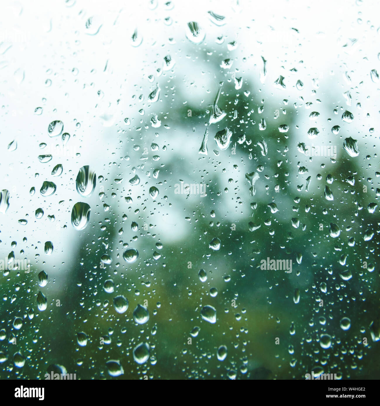 Wassertropfen an regnerischen Tag auf außen Fenster Glas mit unscharfen Rändern. Regentropfen auf der Fensterscheibe im Sommer Tag. Regen vor dem Fenster im Sommer Tag. Stockfoto