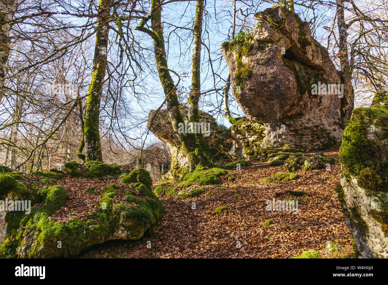Moos grossen Felsen in einem Wald in Navarra (Spanien) an einem Wintertag Stockfoto