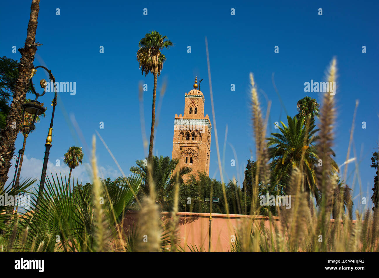Katoubia Moschee und Palmen im Vordergrund in Marrakesch Marokko dominiert die Islamischen Medina hoch über der Nordafrikanischen Stadt Stockfoto
