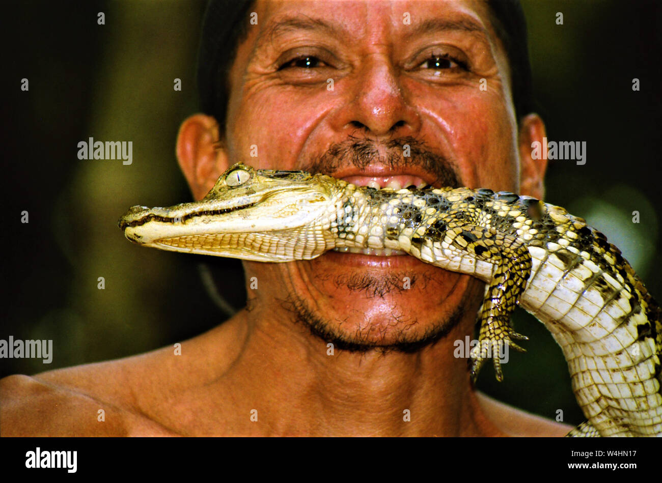 IQUITOS (Amazonas), PERU - juin 2013 2. 2002: Portrait von Indigo Mann hält Baby Krokodil in seinem Mund zwischen den Zähnen Stockfoto
