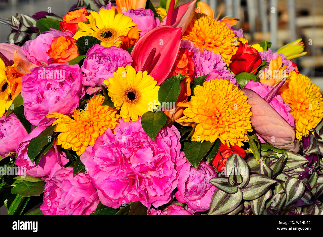 Helle freudige Festliche multicolor floral background aus verschiedenen Blüten in Rosa, Gelb und Rot Die Farben und bunte Blätter der Tradescantia decorat Stockfoto