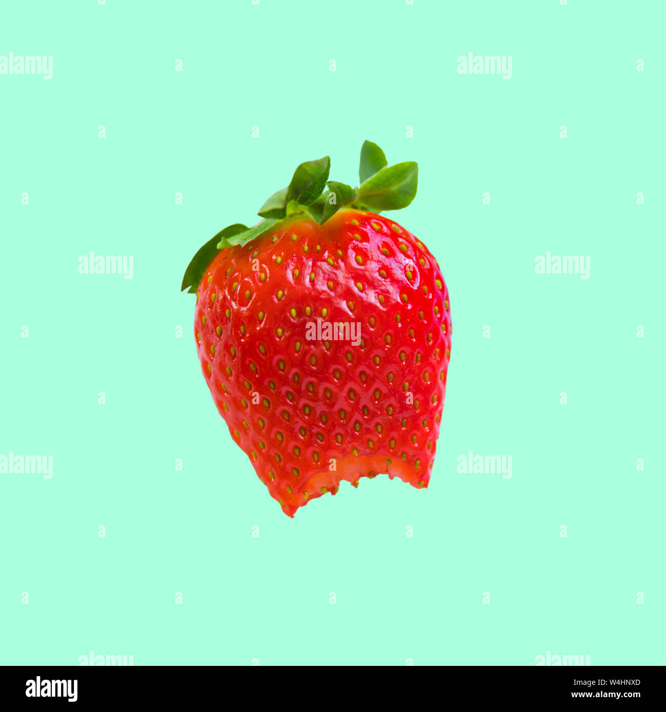 Reife Saftige Erdbeeren. Isolierte Bild auf grünem Hintergrund. Stockfoto