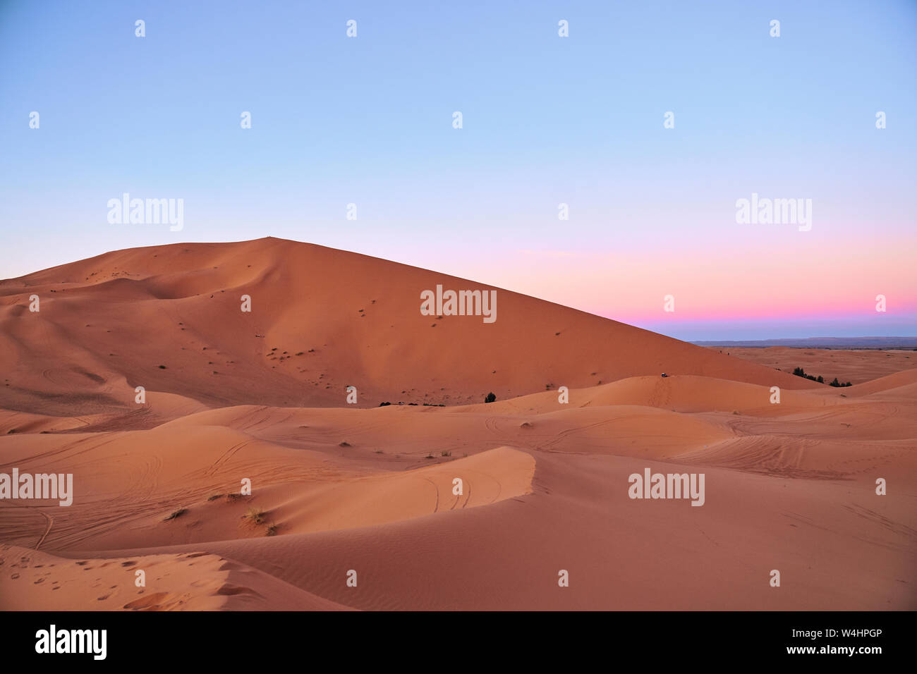 Schöne rosa Sonnenuntergang am großen Dünen in der Sahara Wüste Marokko Afrika Stockfoto