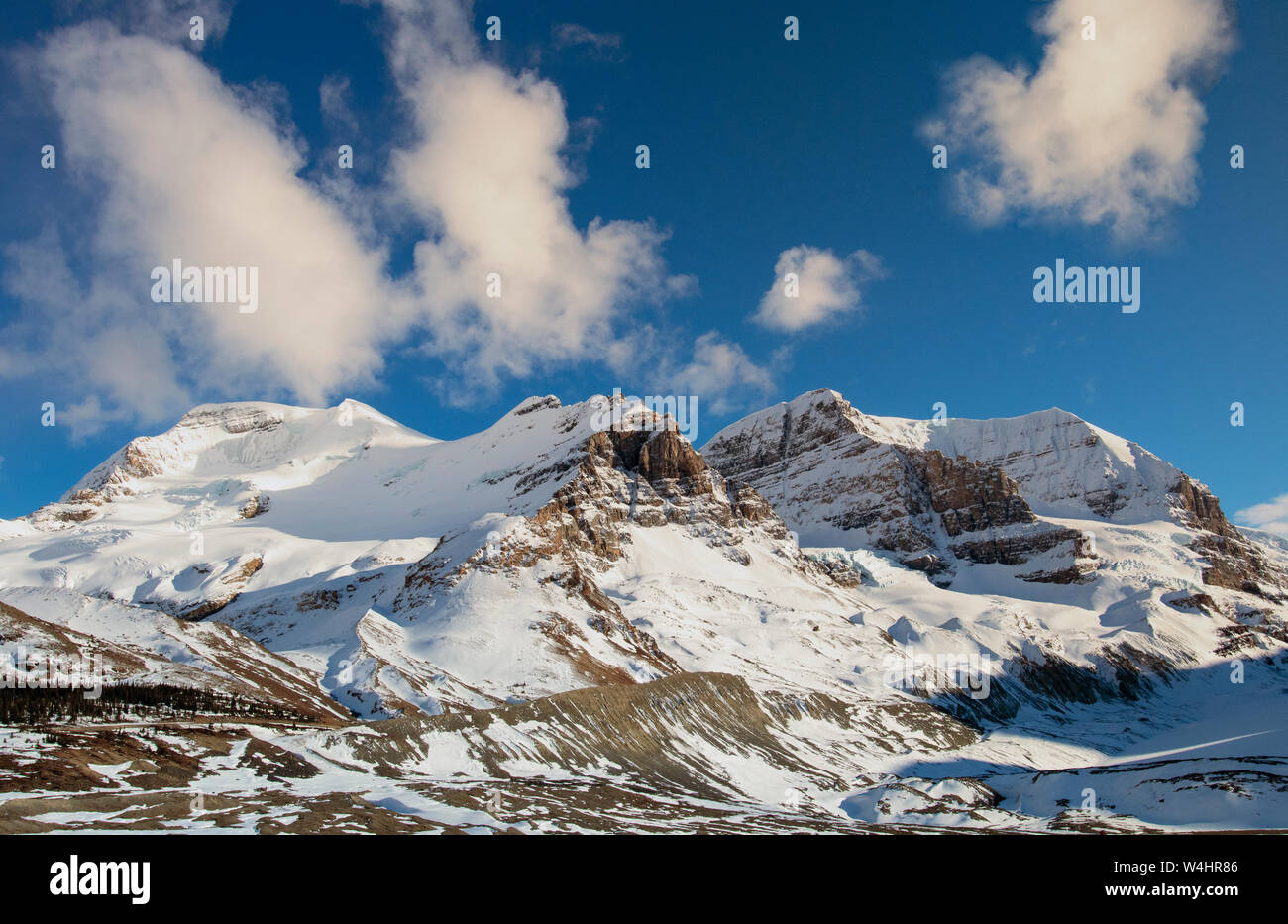 Nordamerika, Kanada, Alberta, Jasper National Park; Mt. Athabasca, Frühling. Stockfoto