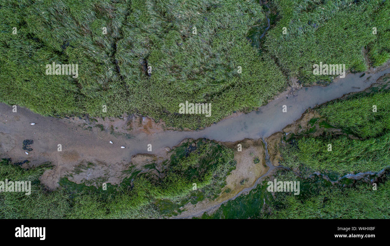Creek, Wattenmeer und Sumpfland in der Mündung des Flusses im Süden Englands. Drone Schuß Stockfoto