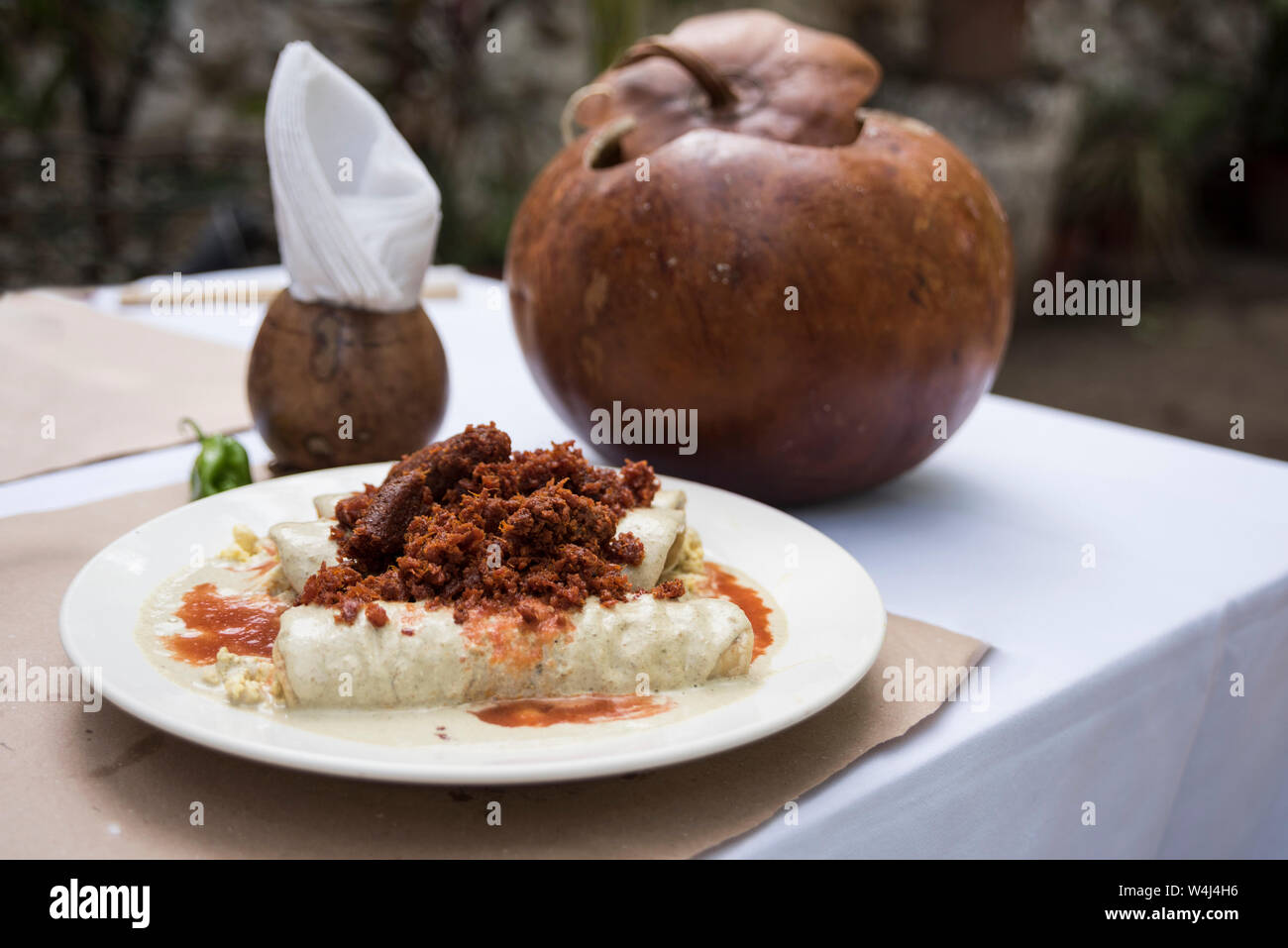 Papadzules, ein traditionelles Gericht aus Maya Halbinsel Yucatan Stockfoto