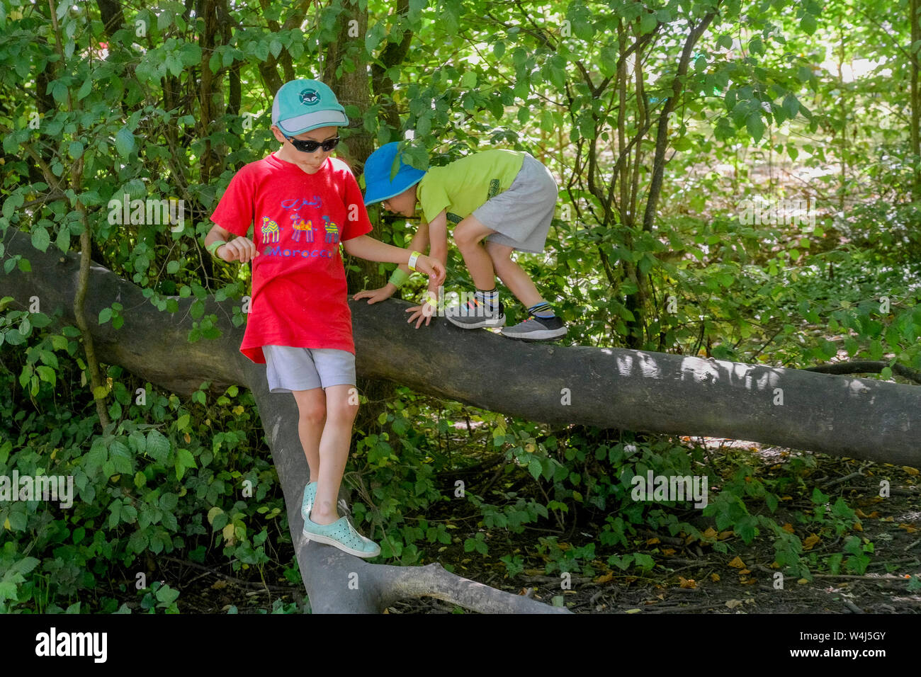 Jungs klettern auf Baum, Stockfoto