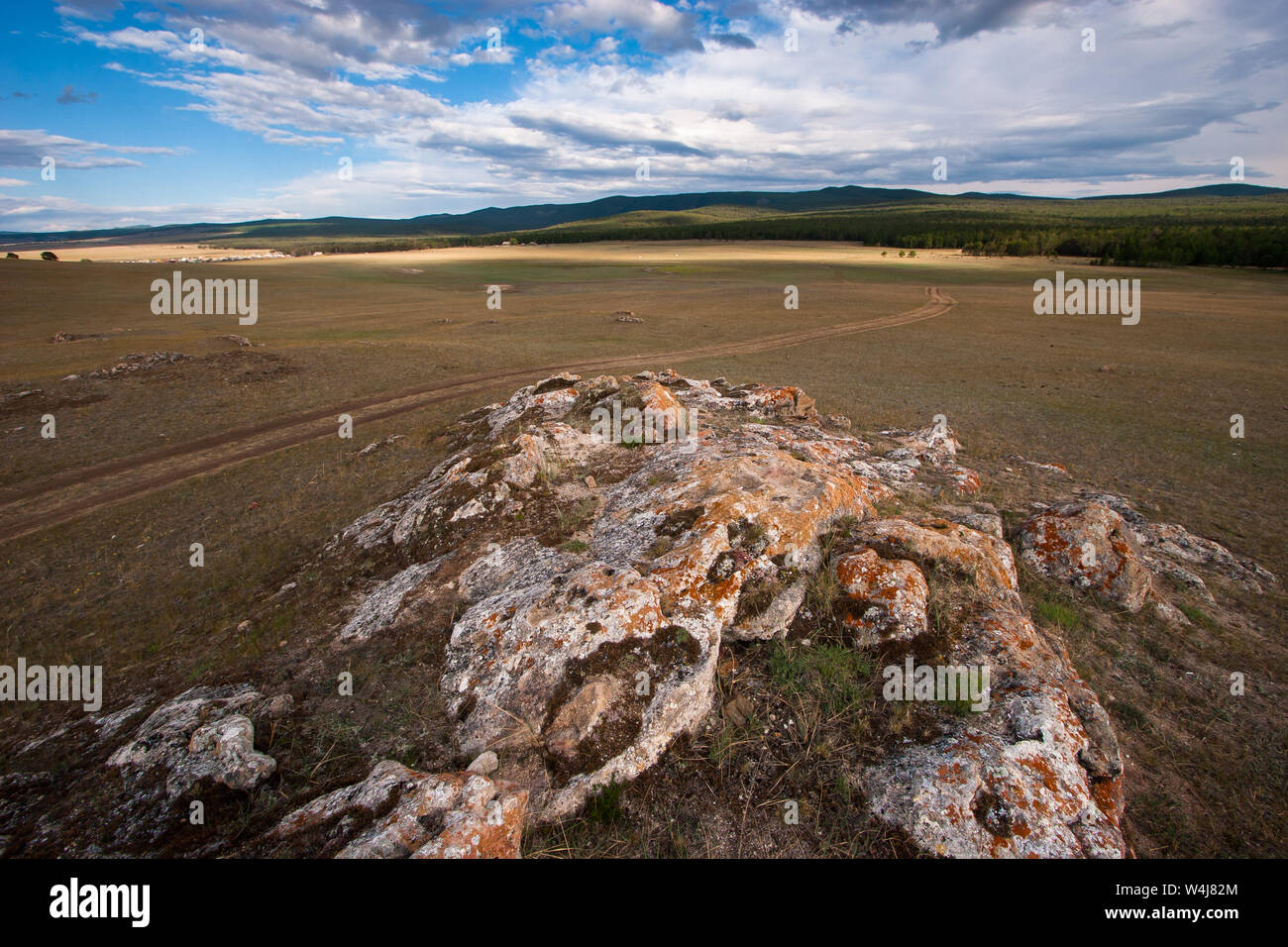 Rock in der Steppe in der Nähe der Straße in den Wald zu gehen. Auf dem Felsen ist rot Moos. Steppe mit gelben und grünen Gras. Wolken im Himmel. Stockfoto