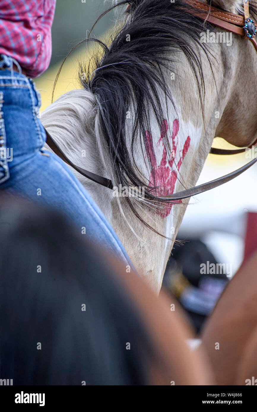Rodeo-Konkurrent beim Kainai Rodeo in Standoff, Alberta, Kanada Stockfoto