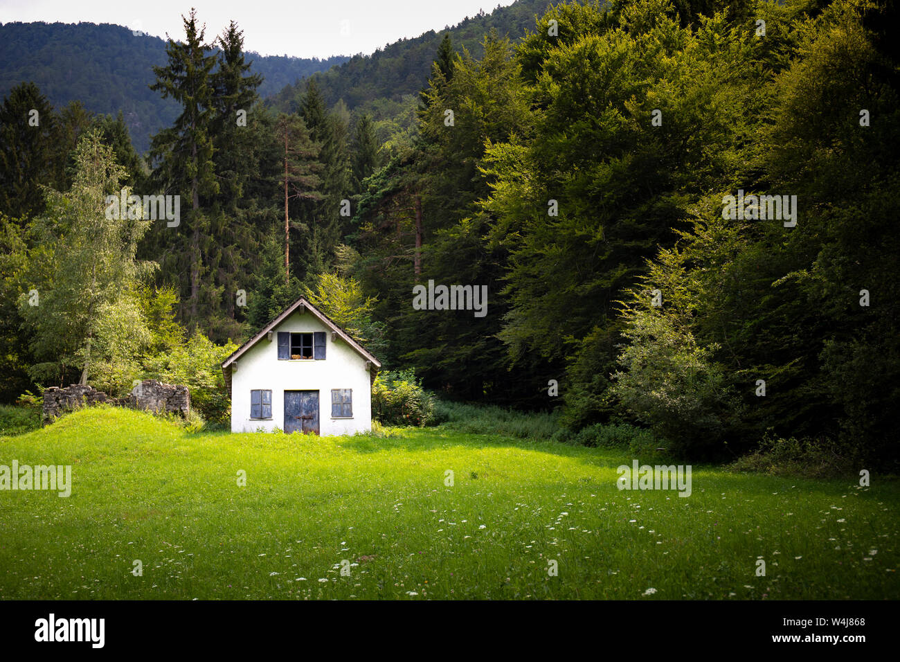 Green mountain Sommer Landschaft mit einer isolierten weißen Hütte oder Scheune über die Wiese. Einsamkeit Hintergrund oder Tapete mit der rechten kopieren. Stockfoto