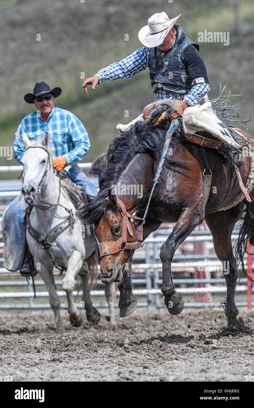 Sattelbronc-Fahrer beim Kainai Rodeo in Standoff, Alberta, Kanada Stockfoto