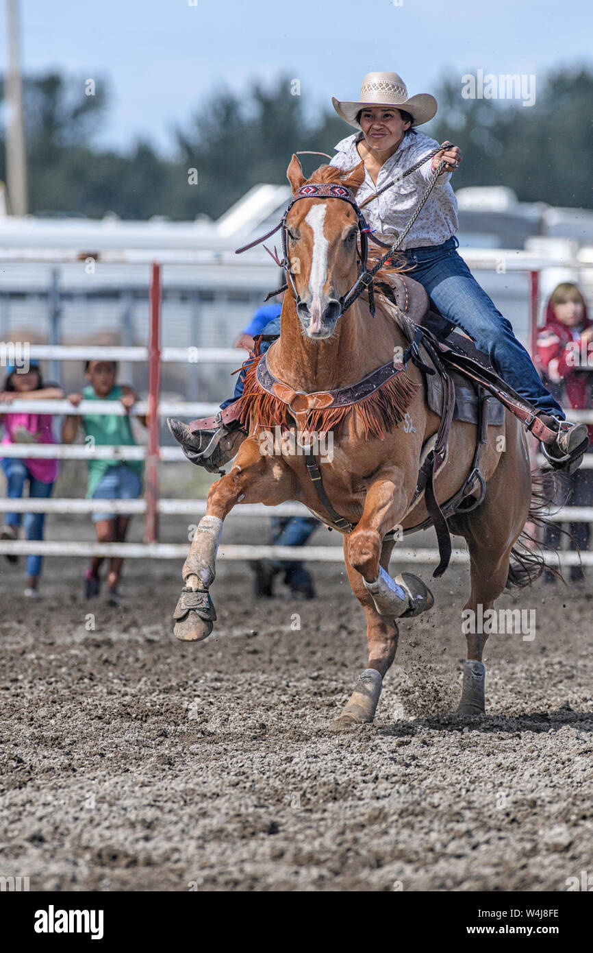 Barrel Racer beim Kainai Rodeo in Standoff, Alberta, Kanada Stockfoto