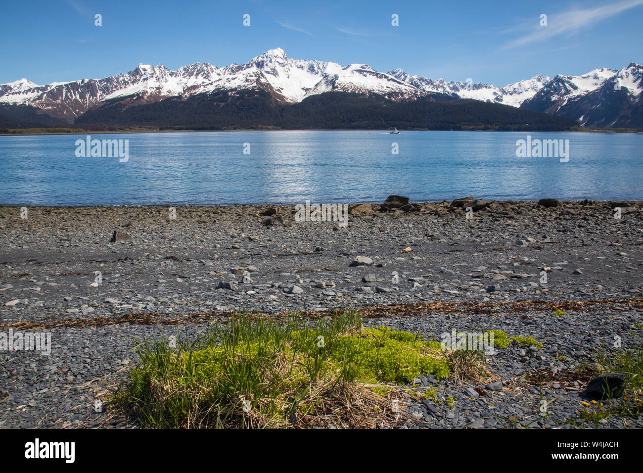 Resurrection Bay, Seward, Alaska. Stockfoto