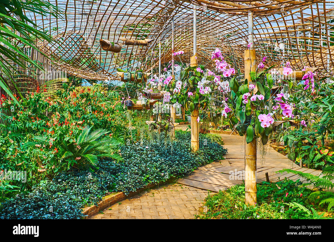 Tropischer botanischer pavillon -Fotos und -Bildmaterial in hoher Auflsung   Alamy