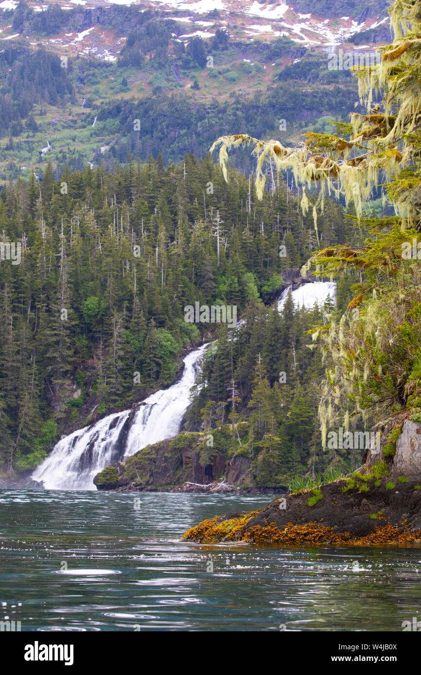 Prinz-William-Sund, Chugach National Forest, Alaska. Stockfoto