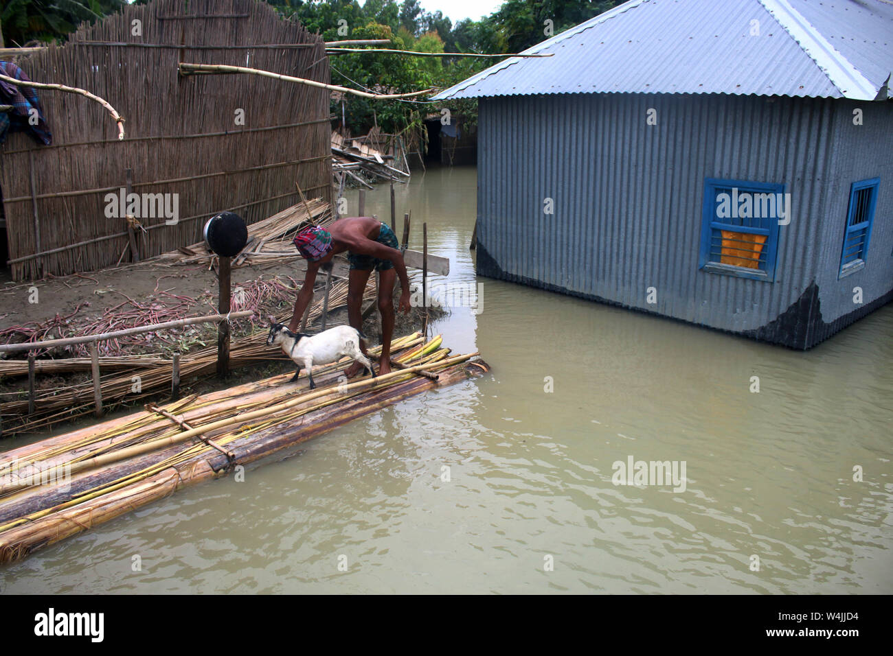 Tangail, Bangladesch. 22. Juli, 2019. Ein Mann nimmt seine Ziege zu schützen, nachdem sein Haus von Überschwemmungen in Tangail betroffen. Über millionen Menschen durch Überschwemmungen durch den Monsun Regen und ausufernden Fluss im Norden, Nordosten und hügeligen Regionen in Bangladesch ausgelöst betroffen. Bild: Sultan Mahmud Mukut/SOPA Images/ZUMA Draht/Alamy leben Nachrichten Stockfoto
