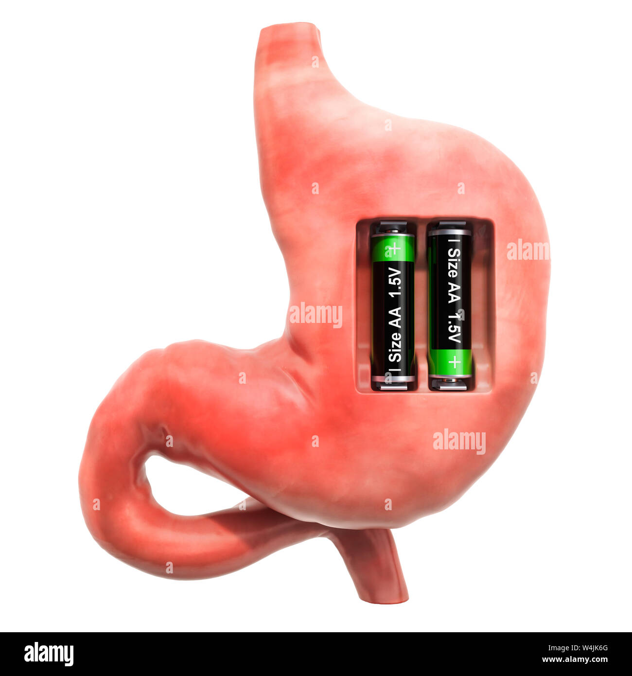 Menschlichen Magen mit Batterien. Verwertung und Behandlung Konzept. 3D-Rendering auf weißem Hintergrund Stockfoto