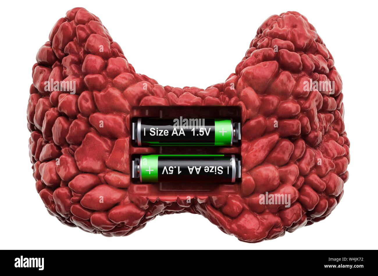Die menschliche Schilddrüse mit Batterien. Verwertung und Behandlung Konzept. 3D-Rendering auf weißem Hintergrund Stockfoto