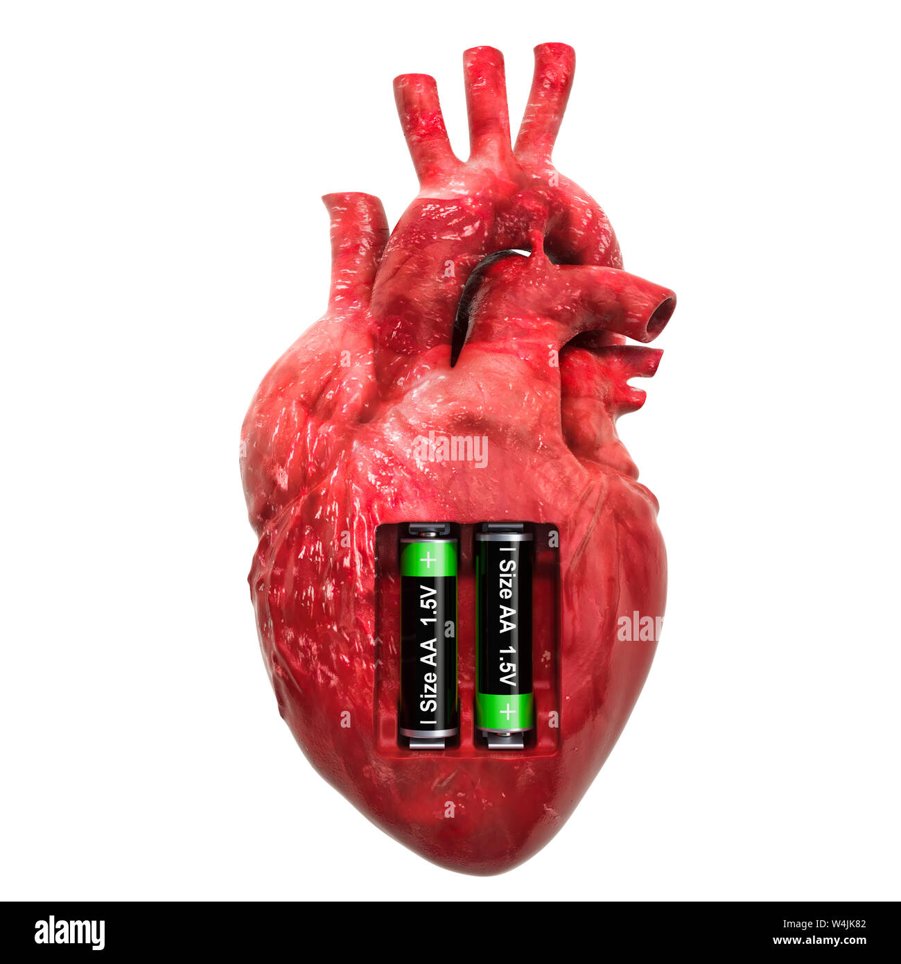 Das menschliche Herz mit Batterien. Verwertung und Behandlung Konzept. 3D-Rendering auf weißem Hintergrund Stockfoto