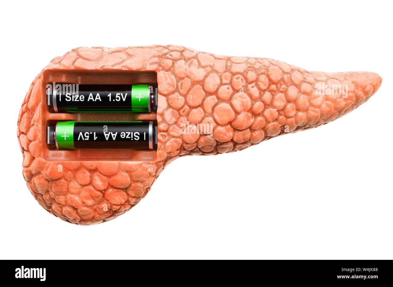 Die menschliche Bauchspeicheldrüse mit Batterien. Verwertung und Behandlung Konzept. 3D-Rendering auf weißem Hintergrund Stockfoto