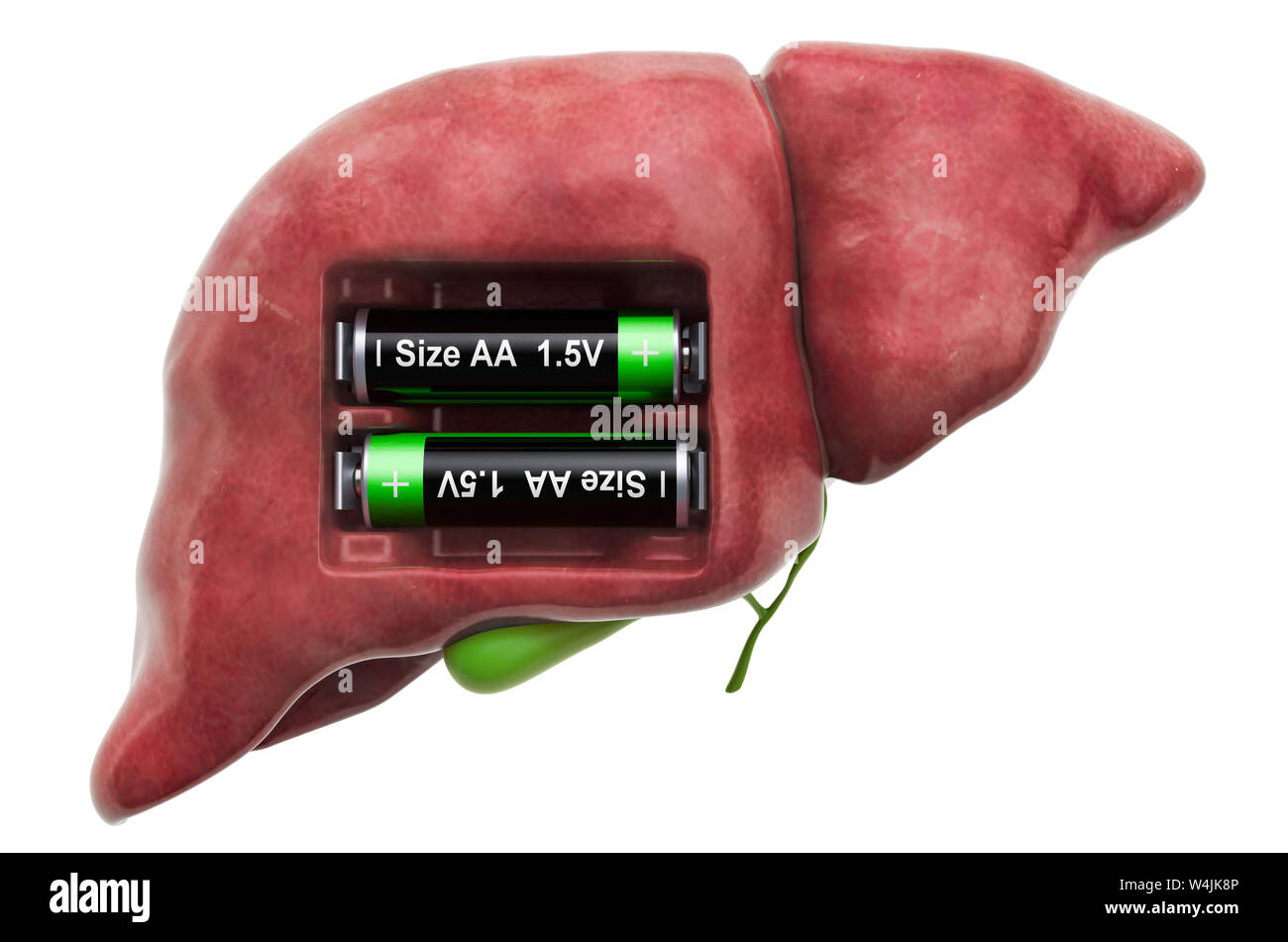 Die menschliche Leber mit Batterien. Behandlung und Verwertung Konzept. 3D-Rendering auf weißem Hintergrund Stockfoto