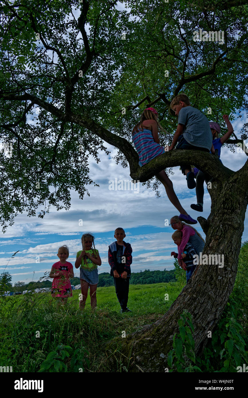 Gruppe junger Kinder spielen im Freien und das Klettern auf einem Baum Stockfoto