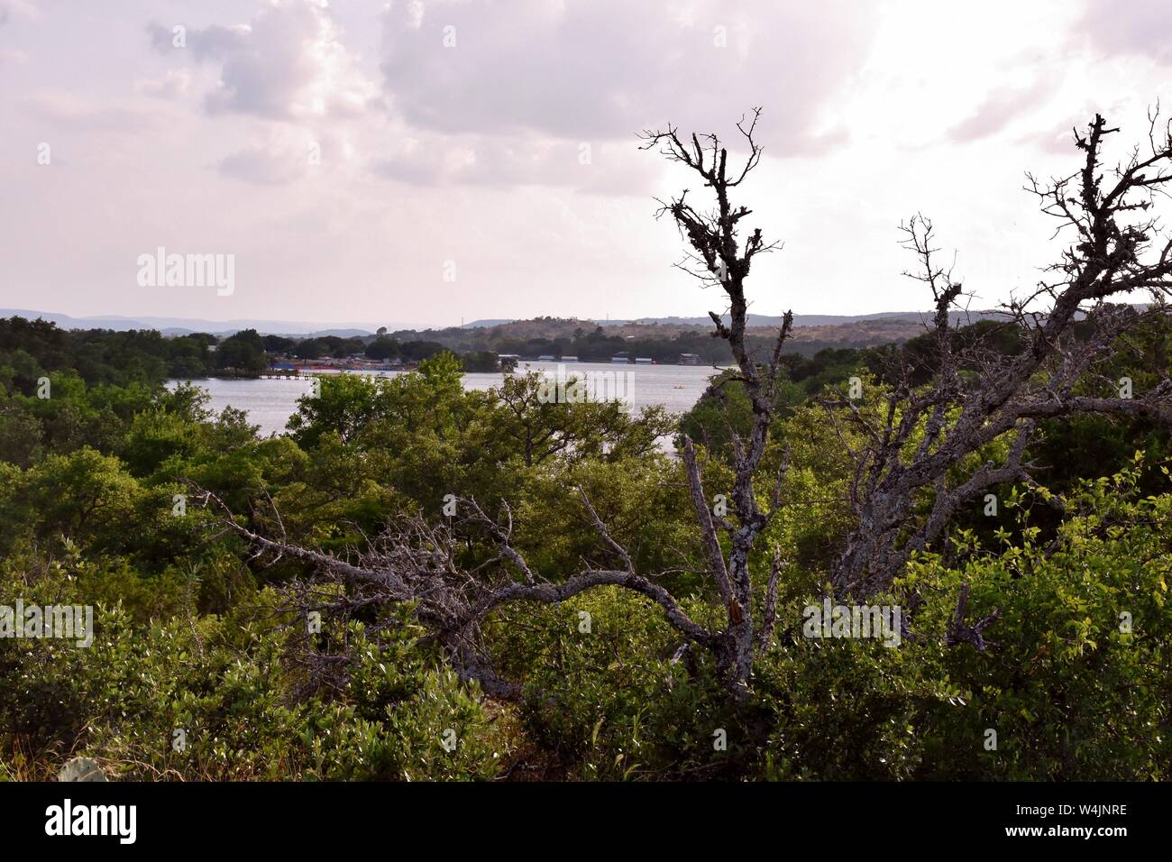 Tinten Lake State Park, Hill Country Texas Stockfoto