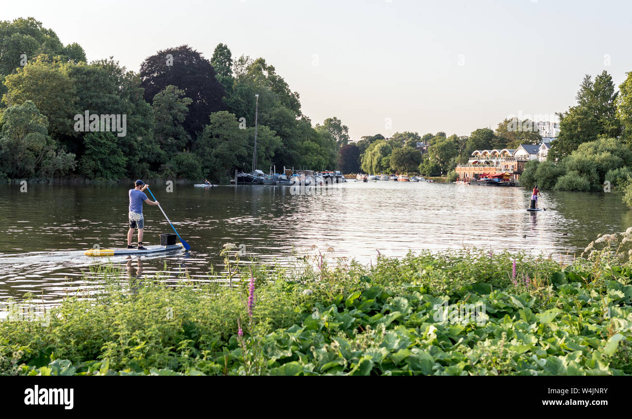 Menschen Paddle Boarding Auf der Themse in der Nähe von Richmond Surrey UK Stockfoto