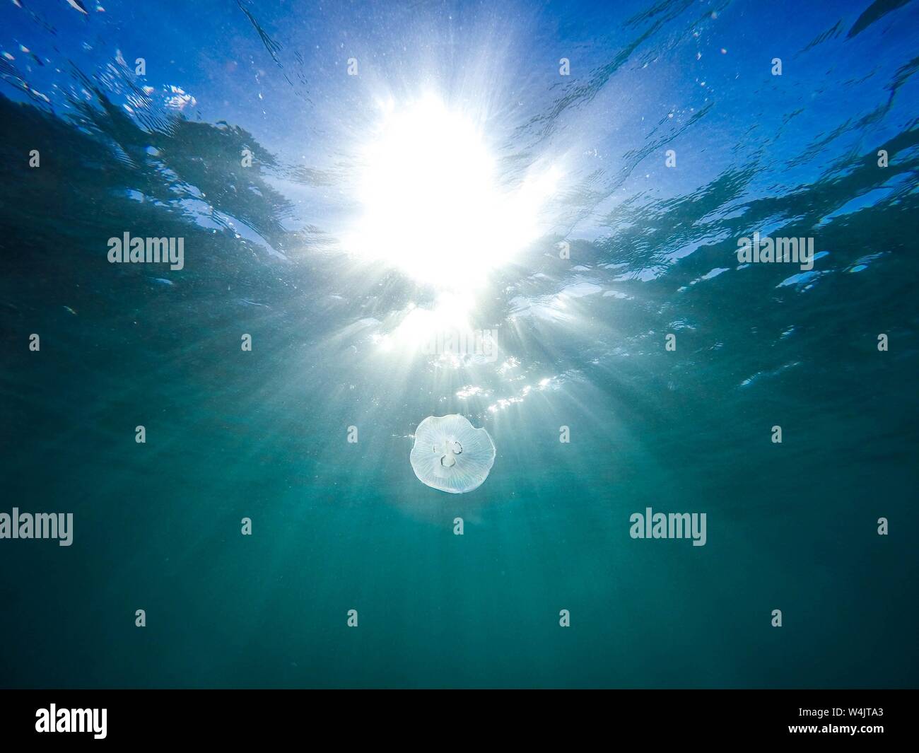 Schöne Unterwasseraufnahme von Fokus detaillierte Wasser Texturen - schön Hintergrund Stockfoto