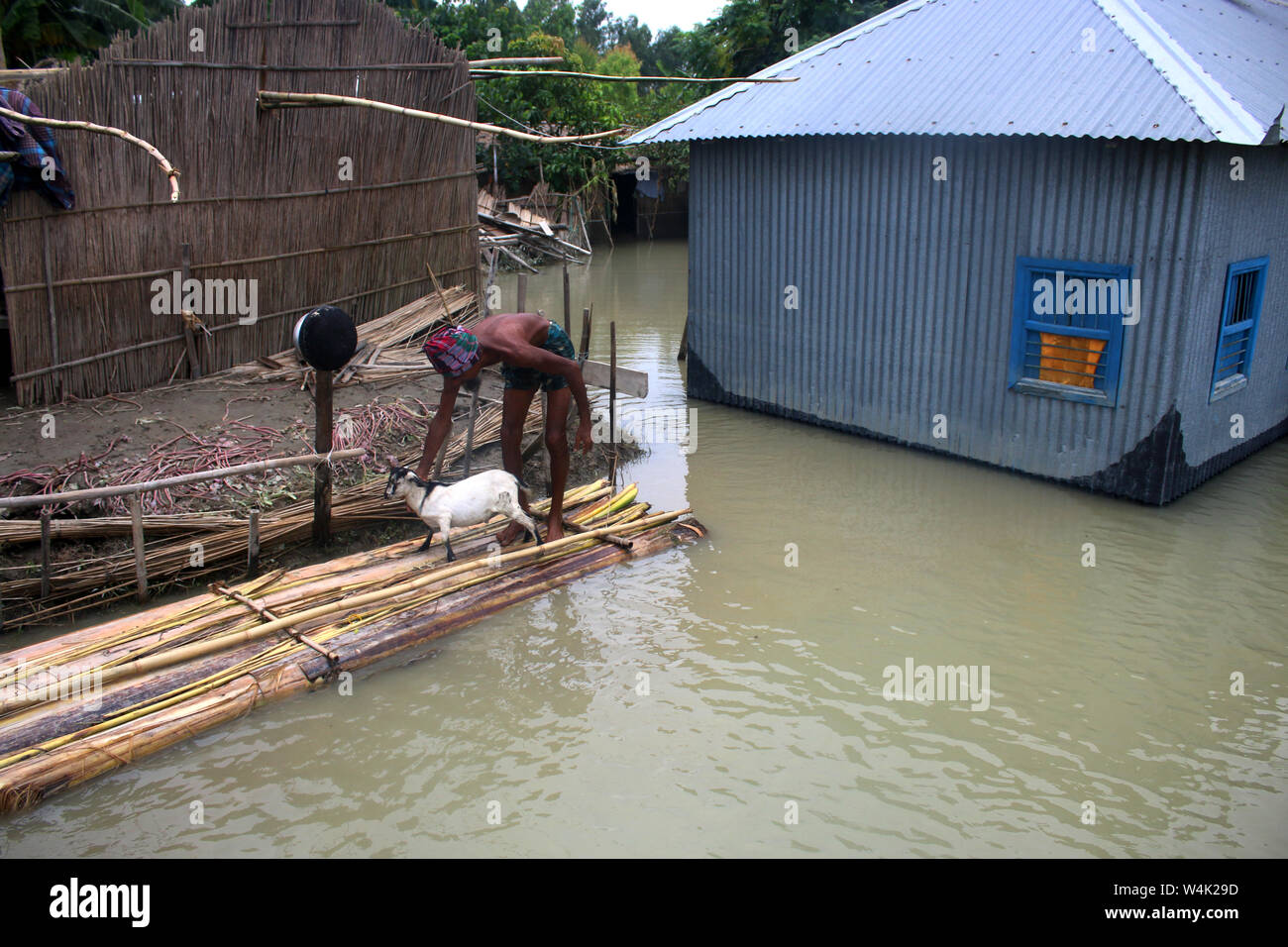 Tangail, Bangladesch. 23. Juli, 2019. Ein Mann nimmt seine Ziege zu schützen, nachdem sein Haus von Überschwemmungen in Tangail betroffen. Über millionen Menschen durch Überschwemmungen durch den Monsun Regen und ausufernden Fluss im Norden, Nordosten und hügeligen Regionen in Bangladesch ausgelöst betroffen. Credit: SOPA Images Limited/Alamy leben Nachrichten Stockfoto
