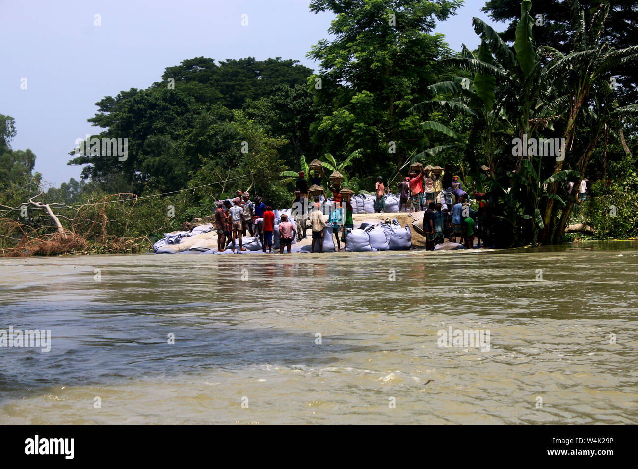 Tangail, Bangladesch. 23. Juli, 2019. Die Bewohner arbeiten der Böschung, die ihr Land von Überschwemmungen in Tangail zu schützen zu reparieren. Über millionen Menschen durch Überschwemmungen durch den Monsun Regen und ausufernden Fluss im Norden, Nordosten und hügeligen Regionen in Bangladesch ausgelöst betroffen. Credit: SOPA Images Limited/Alamy leben Nachrichten Stockfoto