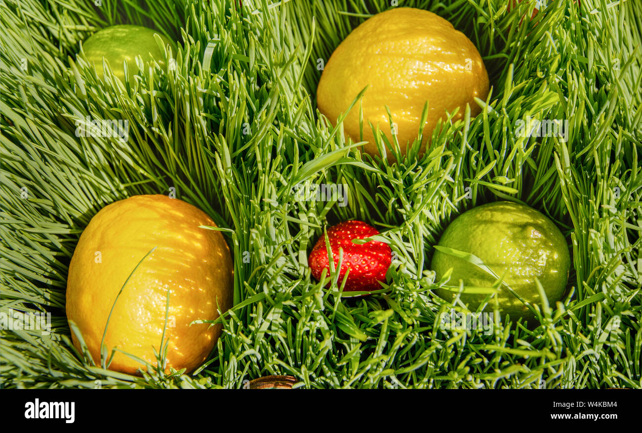 Früchte von Citrus Limette, Zitrone und Reife leuchtend roten Erdbeeren liegen im Grünen jungen Weizen an einem sonnigen Tag. Stockfoto