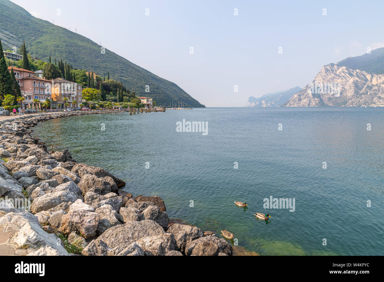 Ein Blick auf den Gardasee, Blick nach Süden von Trobole, mit Enten im Vordergrund und flankiert auf beiden Seiten von den Bergen. Stockfoto