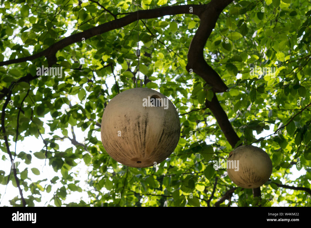 Runde Keramik Vogel Häuser auf Ästen ausgesetzt Stockfoto
