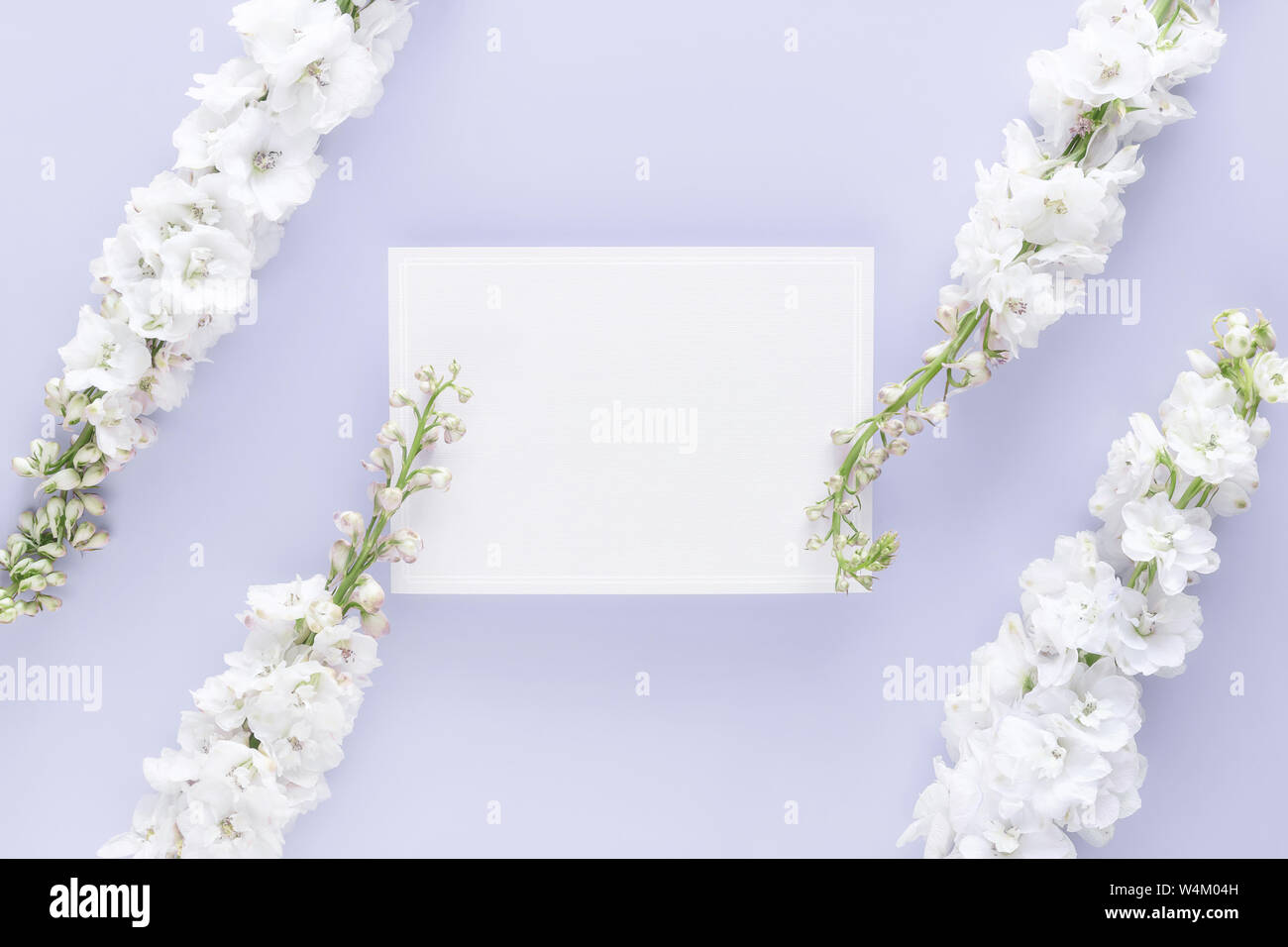 Flach Luxus leere Grußkarte dekorieren mit weißen Blumen auf pastellfarbenen Hintergrund isoliert Stockfoto