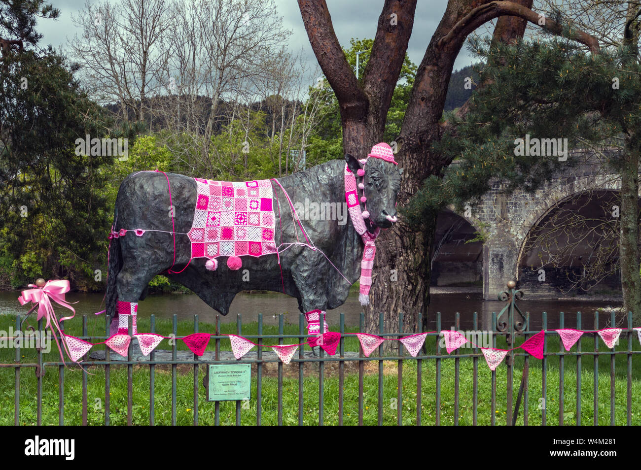 Statue von einem Stier an Builth Wells dekoriert in Rosa als Teil der Drehen drei Städte Rosa Kampagne für die Krebsforschung. Am Ufer des Flusses Wye Powys, Wales Stockfoto