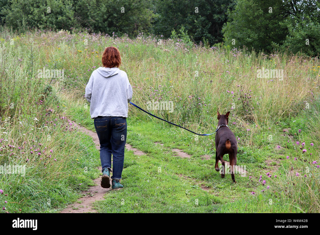 Frau und Hund in eine grüne Wiese mit Wildblumen. Sommer Wandern in der Natur, gesunde Lebensweise, rothaarige Mädchen auf einem morgens joggen nach einem Regen Stockfoto