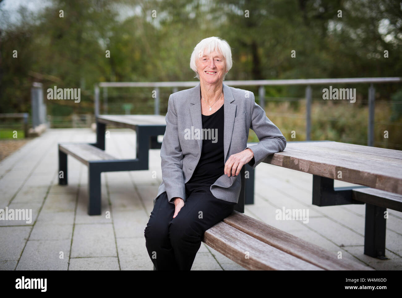 Baroness Sue Campbell, Leiter des Frauenfußballs bei der FA. Stockfoto