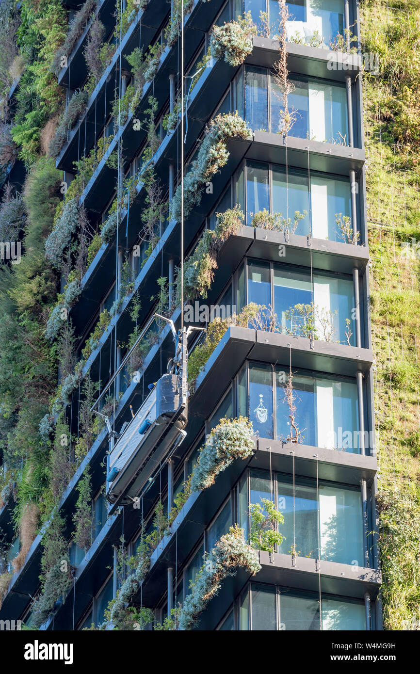 Hochhaus im Garten im One Central Park, das von Jean Nouvel entworfene Appartementhaus in Sydney, das von australischen einheimischen Pflanzen bedeckt ist. Stockfoto