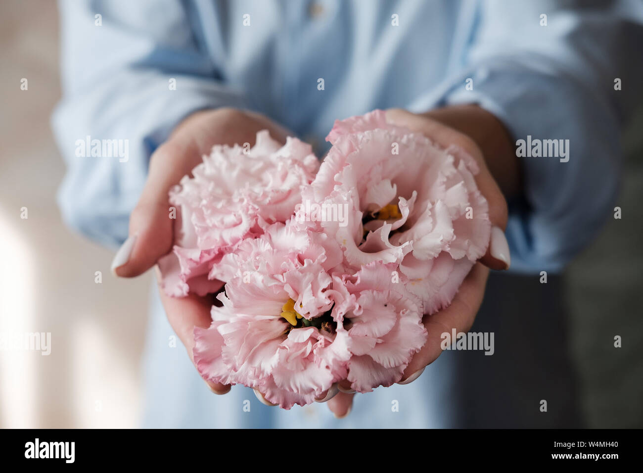 Frau mit rosa Blüten. Weibliche Hände mit Eustoma. Blumen in einem Herzen Form angeordnet sind. Hand Pflege der Haut. Creme für Hände und Behandlung. Nahaufnahme Stockfoto