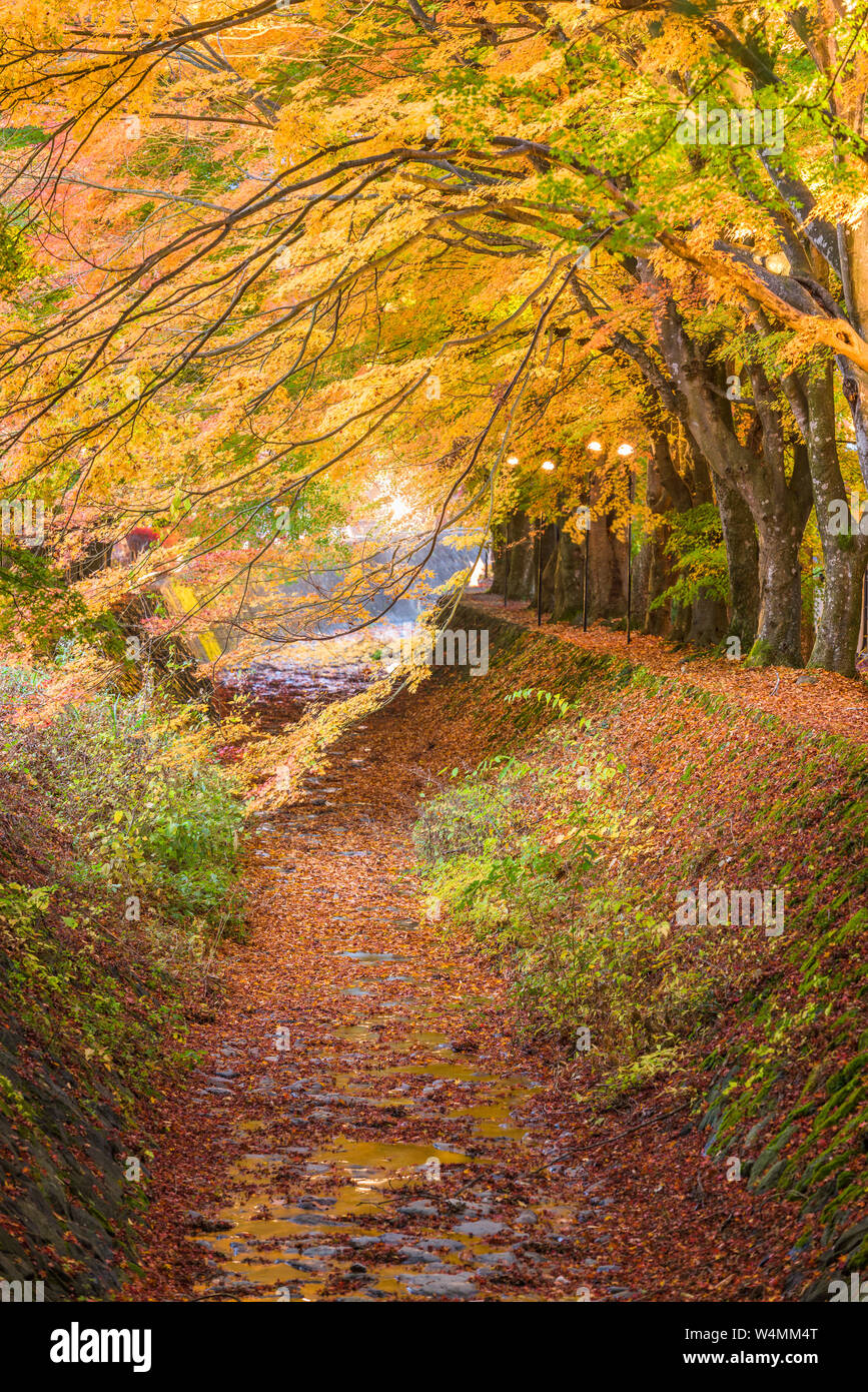 Kawaguchi, Japan in der Maple Tunnel verlassen. Stockfoto