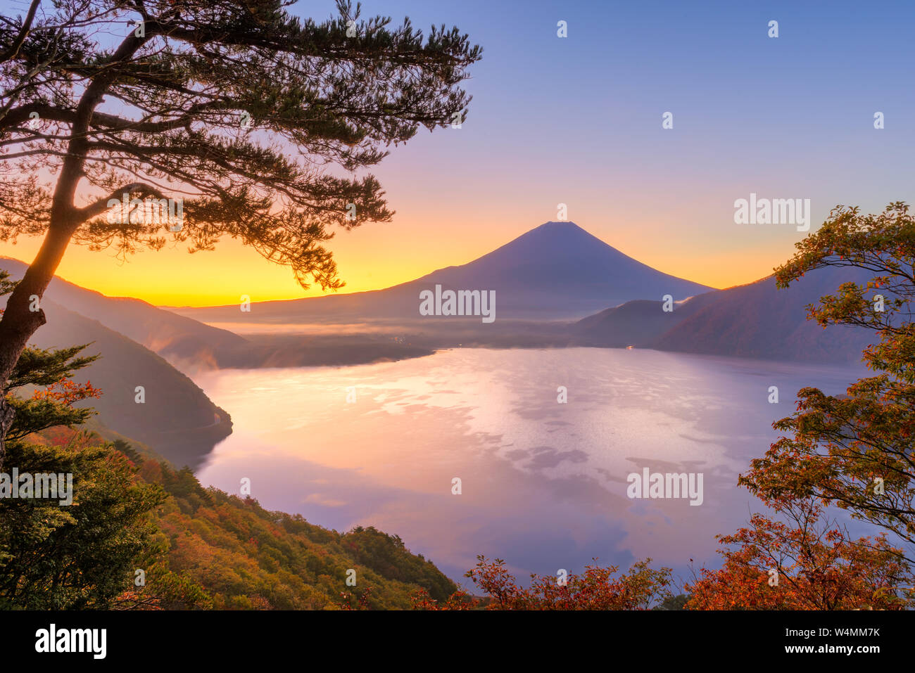 Mt. Fuji, Japan am See Motosu während der Herbstsaison in der Morgendämmerung. Stockfoto