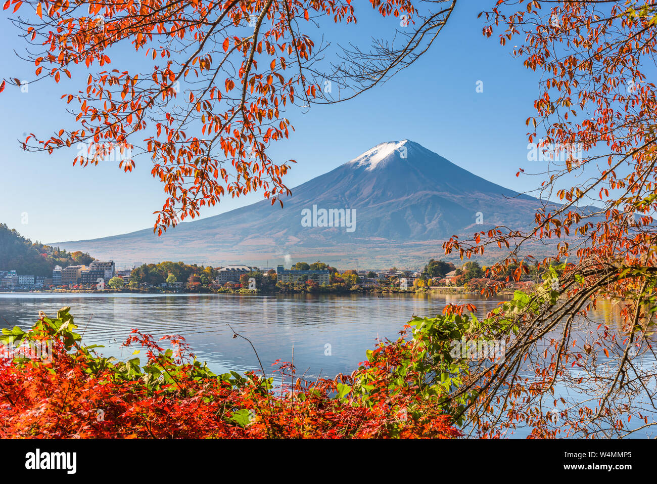 Mt. Fuji, Japan auf Lake Kawaguchi mit Herbst Laub. Stockfoto